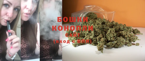 прущий лед Нея