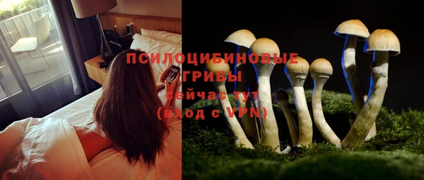 прущий лед Нея