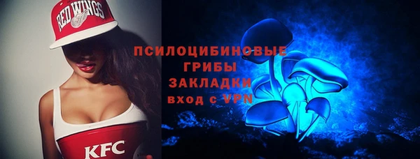 прущий лед Нея