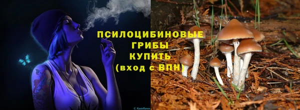 прущий лед Нея