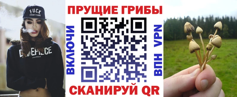 Псилоцибиновые грибы Magic Shrooms  Шилка 